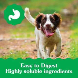 Greenies Regular Puppy Dental Dog Treats, 12 count - Image 5
