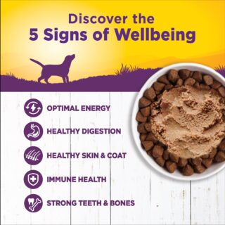 Wellness Complete Health Chicken & Sweet Potato Recipe Wet Dog Food - Image 3
