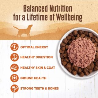 Wellness Ninety-Five Percent Turkey Grain-Free Canned Dog Food, 13.2-oz, case of 12 - Image 3