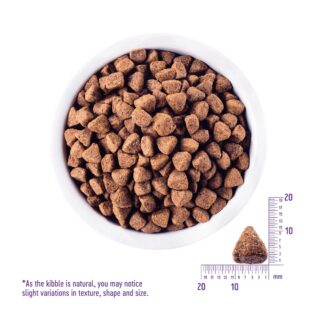 Wellness CORE Original Grain Free Dry Dog Food 4lb Bag - Image 2