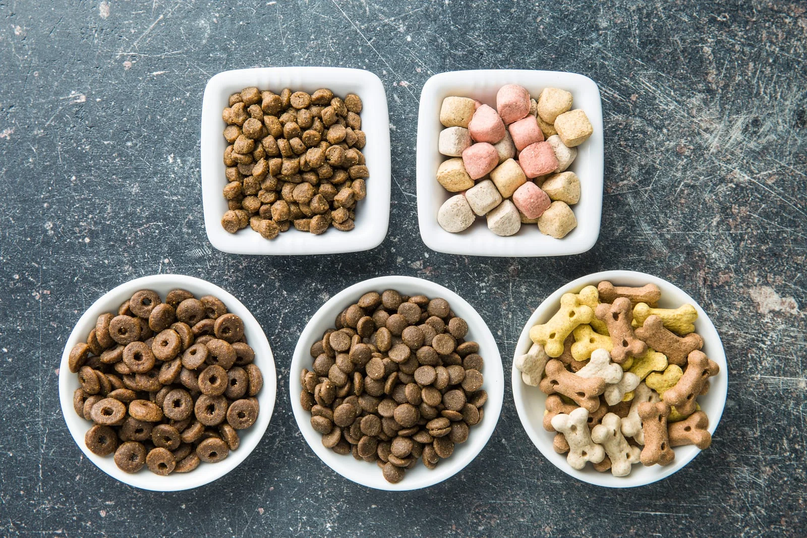 how to choose dog food 