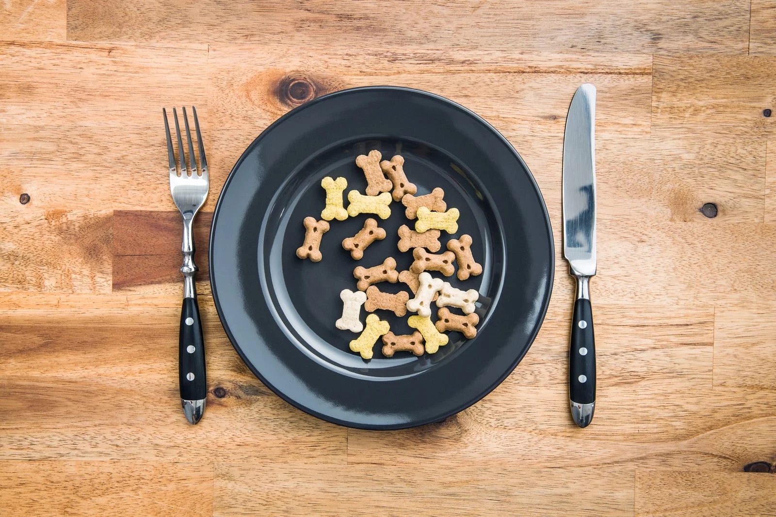 how to transition dog to new food