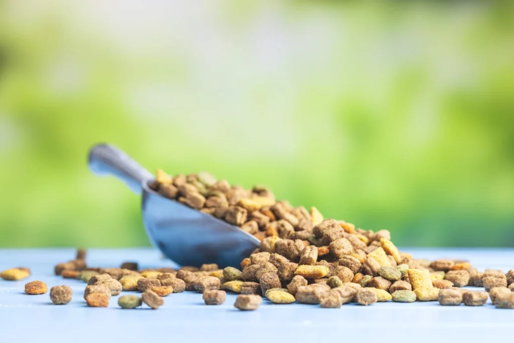 how to choose dog food