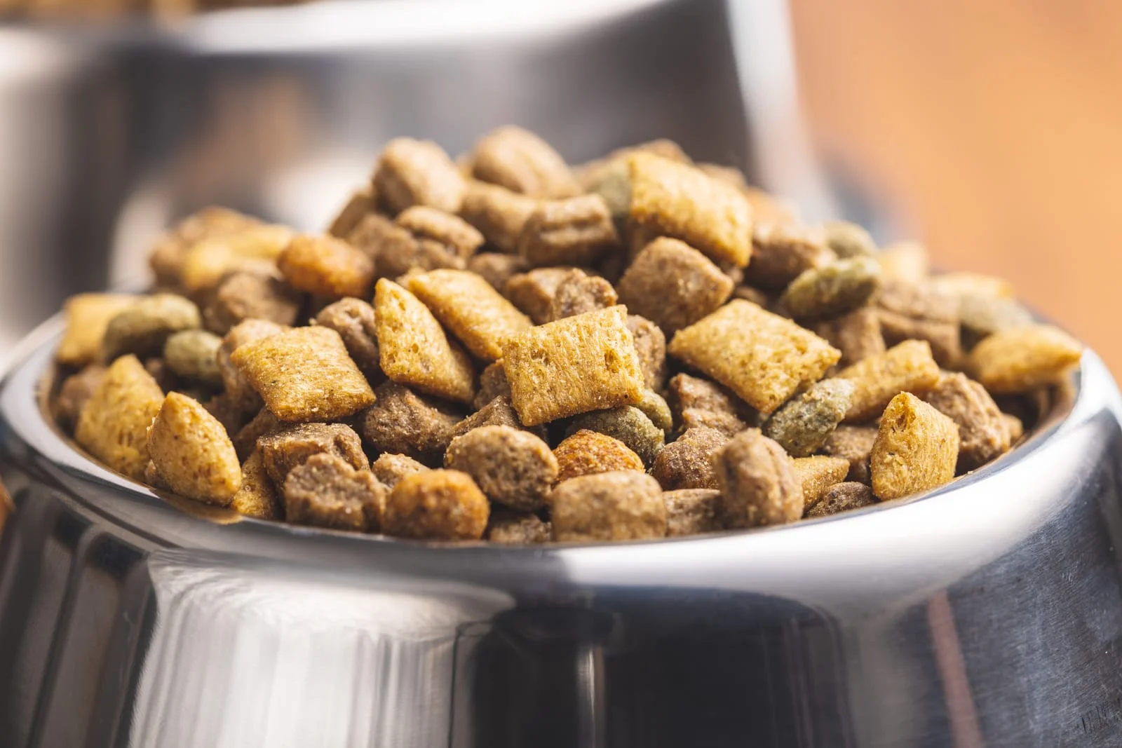 high-protein diet for dogs