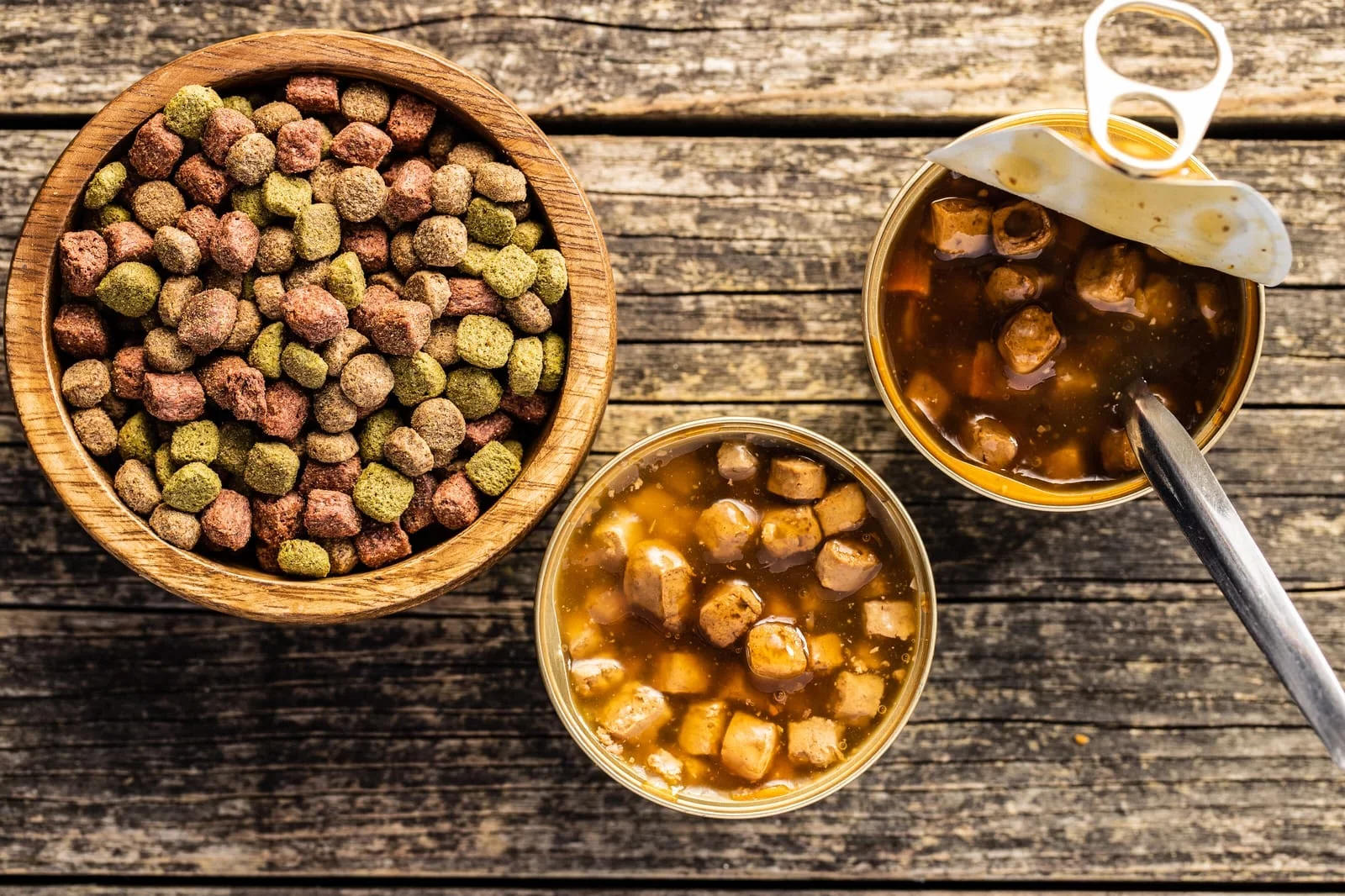 is wet food or dry food better for dogs